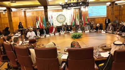 مستشار الجامعة العربية 