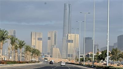 أستاذ إدارة أعمال: الجمهورية الجديدة أضخم عملية بنائية منذ حكم محمد علي