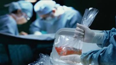 قرار عاجل من المحكمة ضد طبيب الاتجار بالبشر