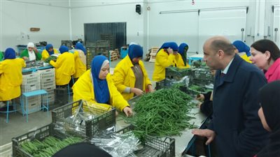 وزارة العمل تنظم جولة تفقدية للمصانع الإسماعيلية