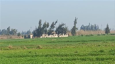 طقس البحيرة.. دافئ على القرى والمدن