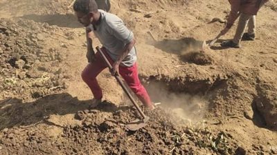 إزالة فورية لحالة تعدى على أرض زراعية بقرية أبنود بقنا 