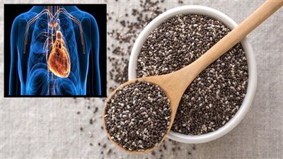 بينها الحفاظ على صحة القلب.. فوائد مذهلة لبذور الشيا