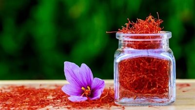 مضاد للاكتئاب ويقي من السرطان.. فوائد تناول الزعفران| أغلى توابل في العالم