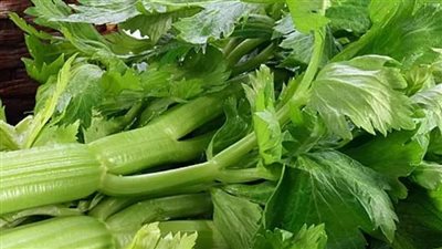 فوائد مذهلة لتناول الكرفس