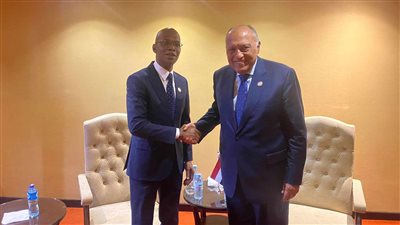 على هامش قمة عدم الإنحياز في أوغندا.. وزير الخارجية يلتقي نظيره التنزاني