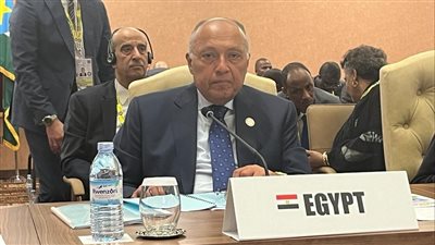 نص كلمة وزير الخارجية سامح شكري في قمة عدم الانحياز