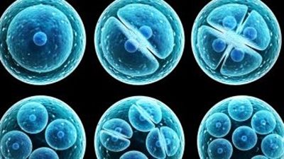 الخلايا الجذعية يمكن أن تعالج مرض باركنسون.. دراسة تكشف 