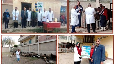  بيطري الشرقية يُشارك فى تنظيم قافلة طبية توعوية مجانية ببني هلال