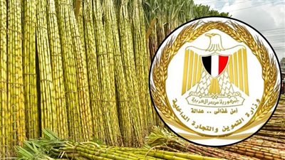استمرار توريد قصب السكر للتموين وتوجيهات بسرعة سداد مستحقات المزارعين