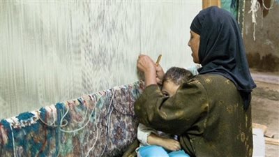 تربية طيور وحرف يدوية.. 7 مجالات للاستفادة من برنامج باب رزق الزراعي