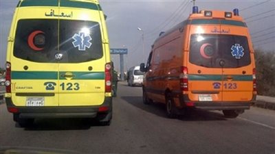 الجشع ينهي حياة