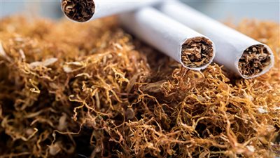 للعام الثامن على التوالي.. 