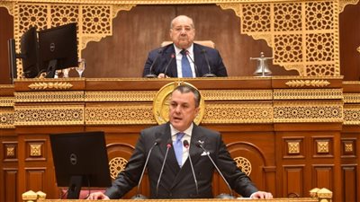 وزير السياحة: صناعة السياحة في مصر تعاني من مشكلات كبيرة وانتخابات الغرف الأسبوع المقبل