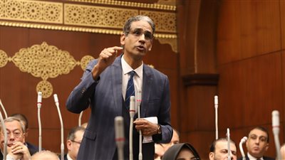 تهامي: شركات السياحة لايمكن أن تواجه المشكلات وحدها ولابد من تدخل الحكومة 