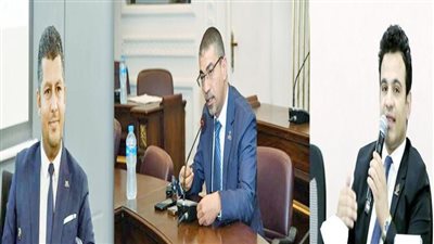 الحوار الوطنى فرصة تاريخية لمناقشة القضايا المعيشية للمواطن المصرى