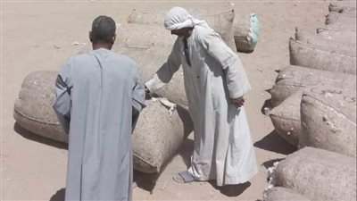   تداول 78 ألف قنطار قطن في المزاد التاسع بالاسكندرية بمشاركة 47 شركة 