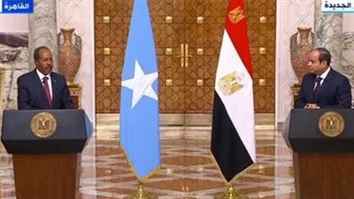 محلل سياسي صومالي: قمة القاهرة مهمة ونجحت بإعلان دعم مصر لمقديشو