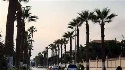 طقس بارد وغير مستقر على الأجواء بالإسماعيلية