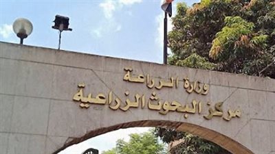 الذكاء الاصطناعي وتحقيق الاكتفاء الذاتى فى المؤتمر الأول لجمعية النهوض بالزراعة بمركز البحوث 