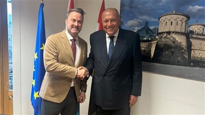 وزير الخارجية: انتهاكات إسرائيل ضد الشعب الفلسطيني من قبل 7 أكتوبر
