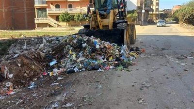 رفع 265 طن تجمعات مخلفات صلبة وأتربة بالمحلة 