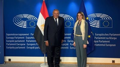 وزير الخارجية يؤكد أهمية تعزيز الحوار البناء والموضوعي بين مصر والبرلمان الأوروبي