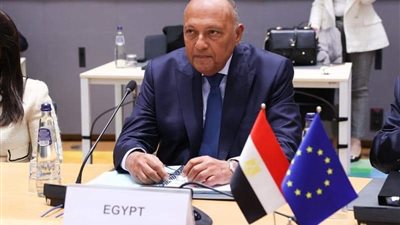 وزير الخارجية يعلق على تصريحات الأعمال العسكرية في رفح.. كارثة كبرى