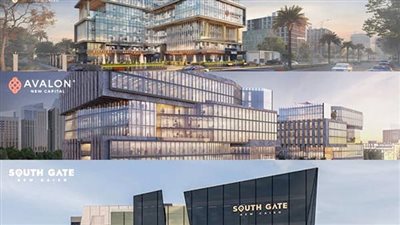 «انفست ويل» تحتفل بمرور 5 سنوات على إطلاقها.. وتخطط لاستثمارات تزيد على 3 مليارات جنيه