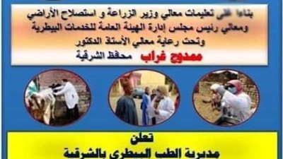 السبت.. انطلاق الحملة القومية لتحصين الماشية ضد مرضى الجلد العقدي بالشرقية
