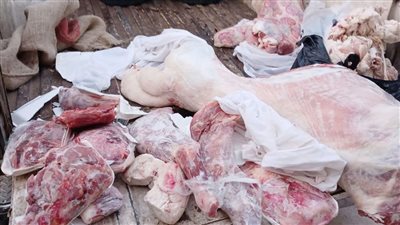 ضبط 333 كيلو لحوم ودواجن وأسماك مدخنة غير صالحة قبل بيعها للمواطنين