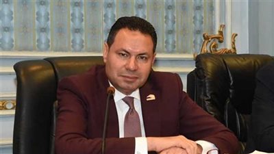 النائب هشام الحصرى: حديث الرئيس يؤكد حرصه على استكمال التنمية بالبلاد