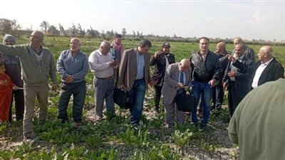 185 خبيرًا وباحثًا ومرشدًا زراعيًا يشاركون في الفرق الإرشادية الريفية 