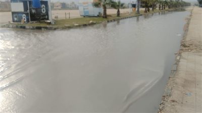 سقوط أمطار متوسطة على  الدقهلية و امتلاء السماء بالغيوم.