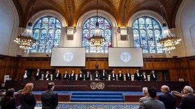 أستاذ علاقات دولية: قرارات محكمة العدل غير كافية