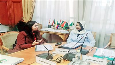 نسعى لمشروع قانون موحد للمخدرات لحماية الدول العربية