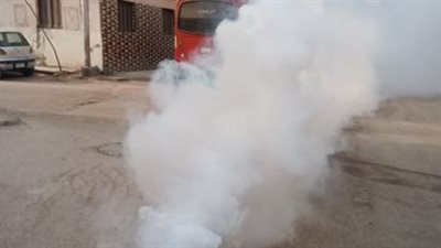 حملات صحية مكثفة لمكافحة ناقلات ومسببات الأمراض بالمنيا