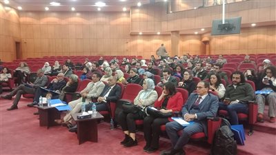 معهد البحوث الفلكية يستضيف ورشة عمل حول النسق العمراني للقاهرة التاريخية