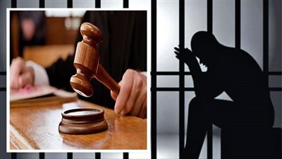 قرار جديد في واقعة طعن عاطل لفلاح بسبب ركنة سيارة بأبو النمرس 