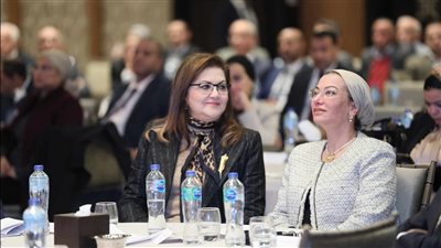 ياسمين فؤاد:١٣٠ مليون يورو لتحقيق التوافق البيئي