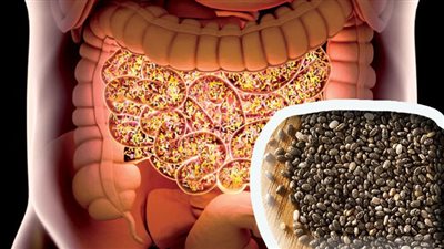 فوائد بذور الشيا لعلاج الأمعاء والقلب