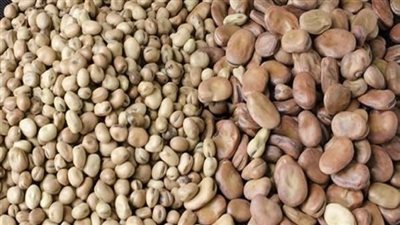 ارتفاع سعر الفول صباح اليوم الأحد عند التاجر