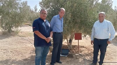 جامعة الملك سلمان تجرى بحوثًا تقنية لحساب الاستهلاك المائي لأشجار الزيتون 