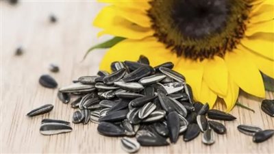 إنقاص الوزن أحد فوائد تناول اللب السوري