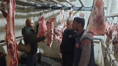 تحرير 278 محضراً متنوعاً بمحافظة الإسكندرية 