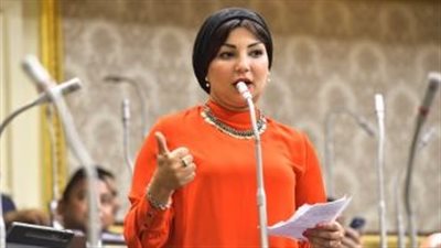 النائبة رشا أبو شقرة تتقدم باقتراح لإنشاء شركة مساهمة تتبع هيئة النظافة بالجيزة  
