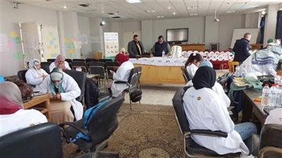 المنيا تنظم دورة في التسويق الالكترونى لتأهيل الشباب وتنمية مهاراتهم 