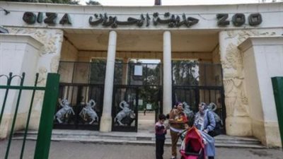 الكشف عن معدل تنفيذ مشروع تطوير حديقة الحيوان حتى الآن