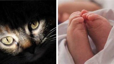 جريمة أم .. ربة منزل تُنهي حياة طفلتها وتتهم القطة