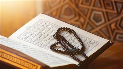   أسباب ذكر الذباب في القرآن الكريم